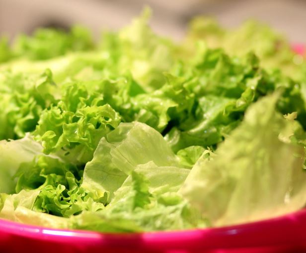 상추 먹는 꿈의 의미