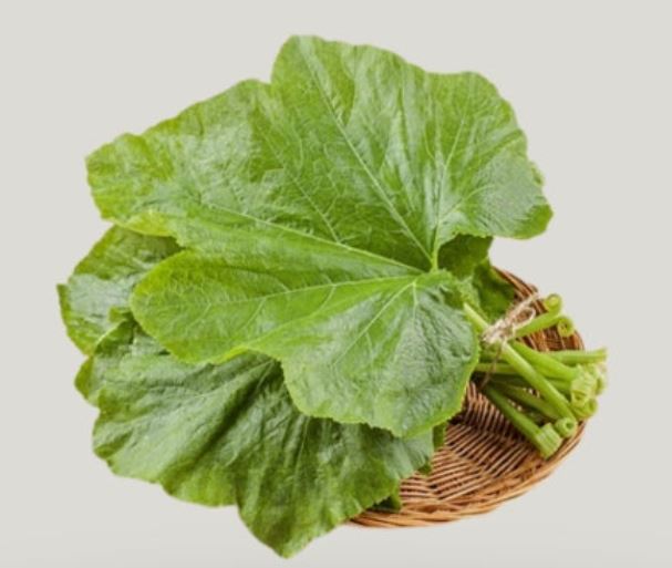 호박잎 따는 꿈의 의미