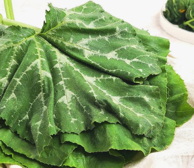 호박잎 먹는 꿈의 의미