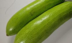 애호박 따는 꿈의 의미