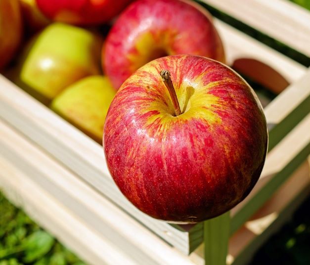 빨간 사과 사는 꿈의 의미