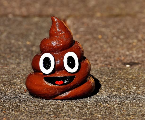 똥을 싸는 꿈의 의미