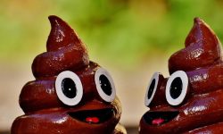 똥 밟는 꿈의 의미