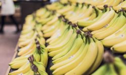 바나나 먹는 꿈의 의미