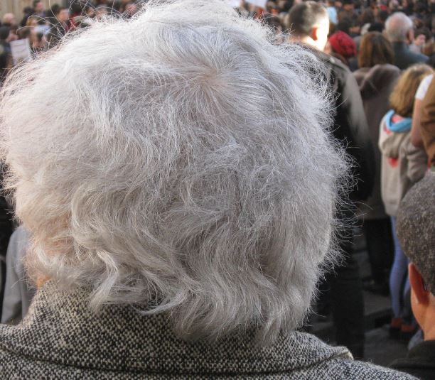 흰머리 뽑아주는 꿈의 의미