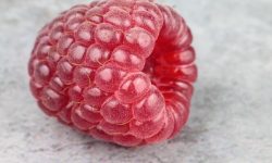 산딸기 먹는 꿈의 의미