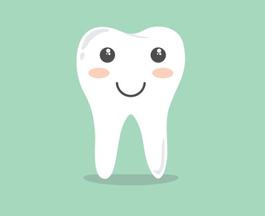 송곳니 흔들리는 꿈의 의미