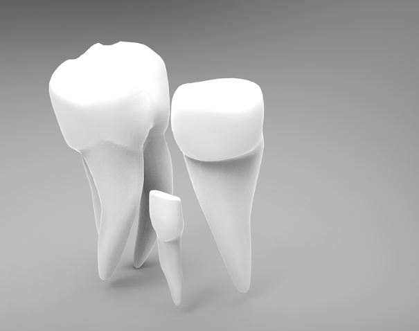 덧니 나는 꿈의 의미