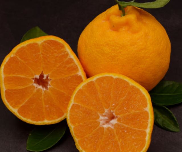 한라봉 먹는 꿈의 의미