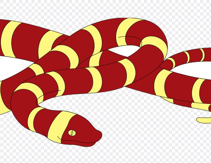 빨간뱀 태몽 꿈의 의미