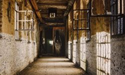 납치당하는 꿈의 의미