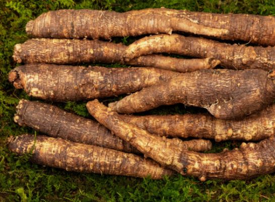 더덕 캐는 꿈의 의미