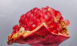 석류 먹는 꿈의 의미