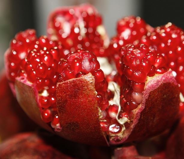 석류 따는 꿈의 의미