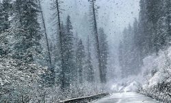 폭설 꿈의 의미