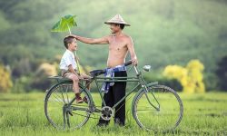 아들이 교통사고 나는 꿈의 의미