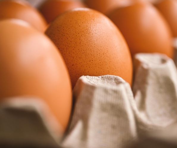 달걀 먹는 꿈의 의미(해몽)