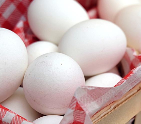 달걀에서 병아리 나오는 꿈의 의미