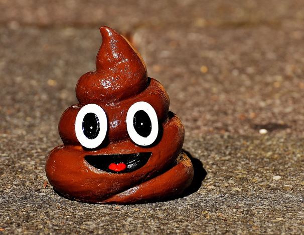 굵은똥 꿈의 의미