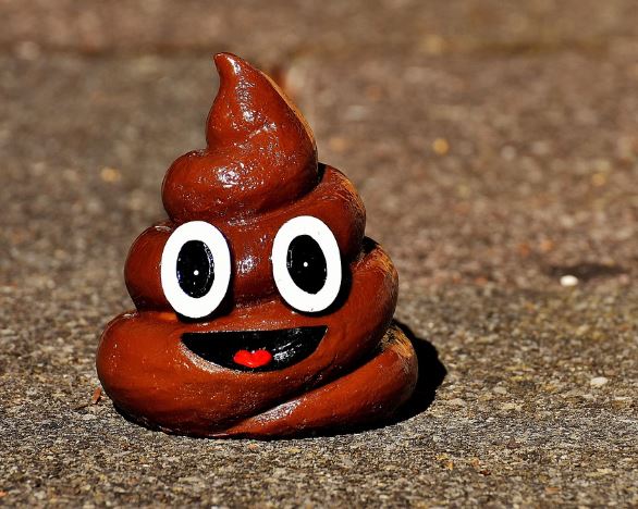 아기 똥 꿈의 의미