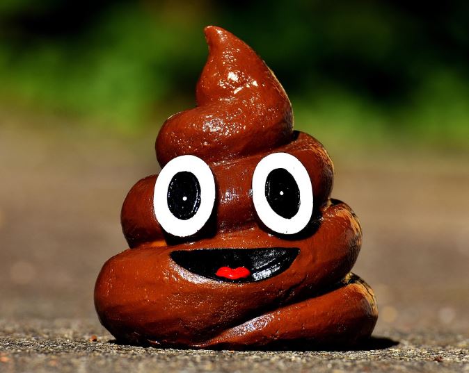 아기가 똥을 싼 꿈의 의미