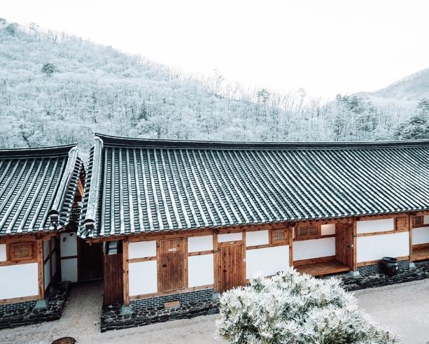 지붕에서 비가 새는 꿈의 의미