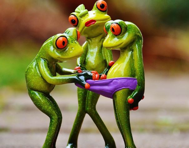 팬티 꿈의 의미