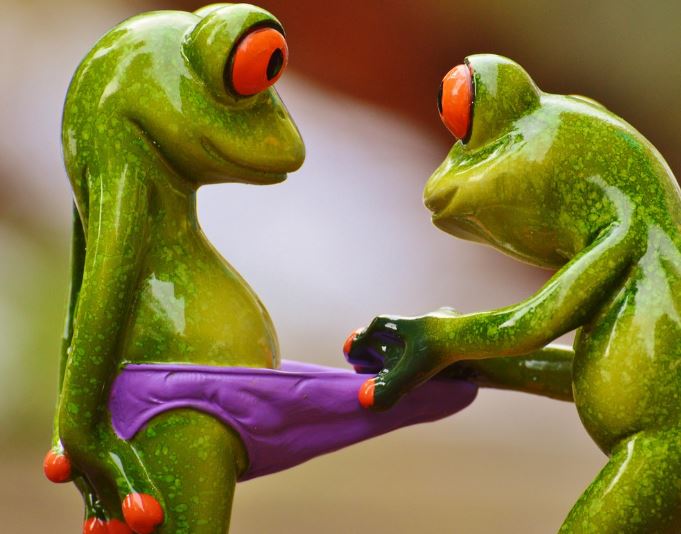 팬티 갈아입는 꿈의 의미