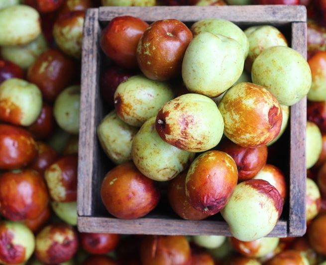 대추 받는 꿈의 의미