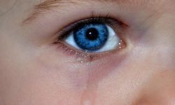 눈꼽 꿈의 의미(해몽) 눈꼽 꿈의 의미