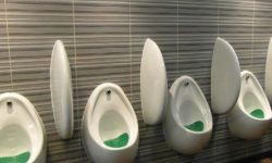 피오줌 꿈의 의미