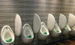 피오줌 싸는 꿈의 의미