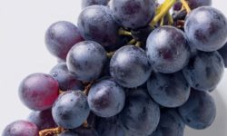 거봉 먹는 꿈의 의미