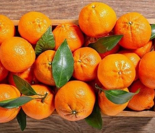 귤 선물 받는 꿈의 의미