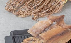 오징어 태몽 꿈의 의미