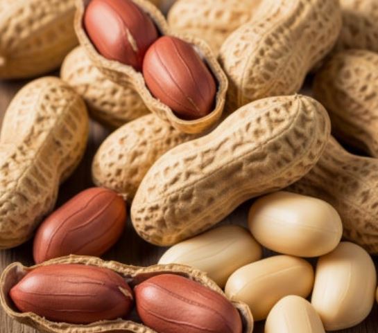 땅콩 먹는 꿈의 의미