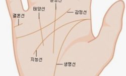 손금보는 꿈의 의미(해몽) 손금보는 꿈의 의미