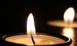 점보는 꿈의 의미(해몽)