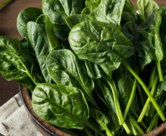 시금치 꿈의 의미