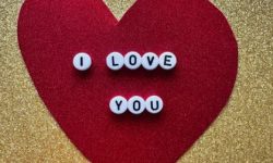 첫사랑이 꿈에 나오는 꿈의 의미(해몽) 첫사랑이 꿈에 나오는 꿈의 의미