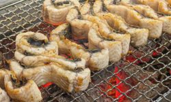 장어 꿈의 의미