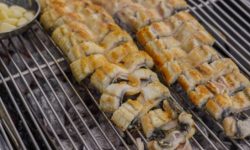 장어 먹는 꿈의 의미(해몽) 장어 먹는 꿈의 의미