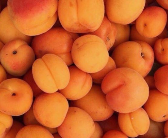 살구 태몽 꿈의 의미