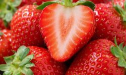 딸기 사는 꿈의 의미