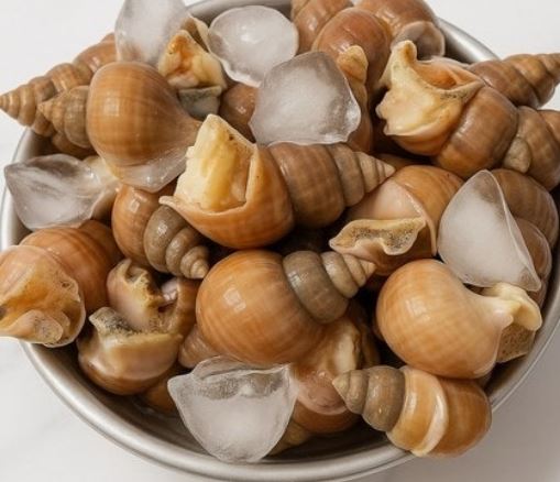 골뱅이 줍는 꿈의 의미