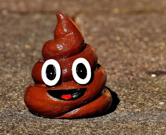 물똥 꿈의 의미