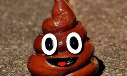 물똥 싸는 꿈의 의미