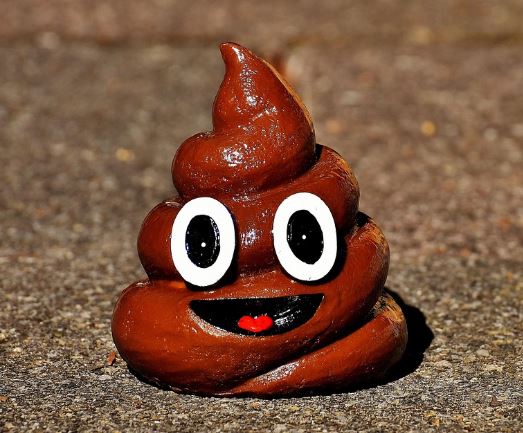 물똥 싸는 꿈의 의미