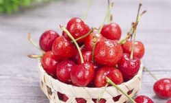 빨간 앵두 따는 꿈의 의미