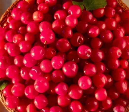 앵두 먹는 꿈의 의미